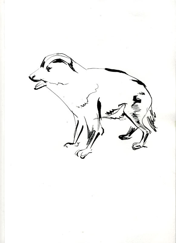 avantlefilm029