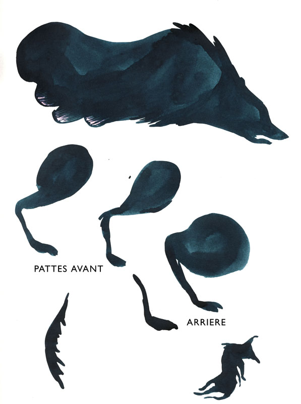chapitre3006