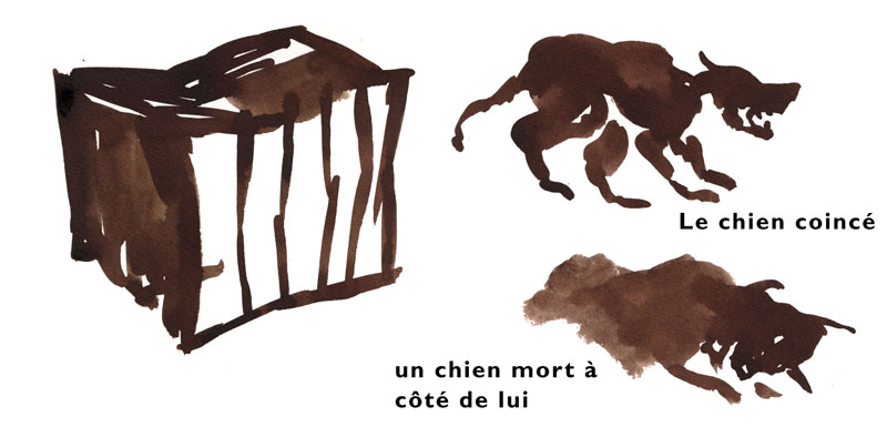 chapitre4020